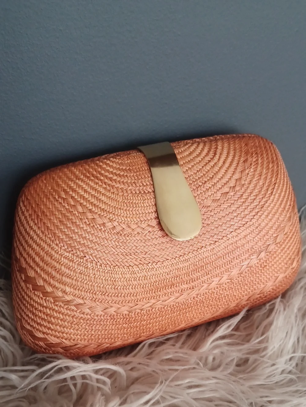 Vintage Cute Crossbody / Clutch